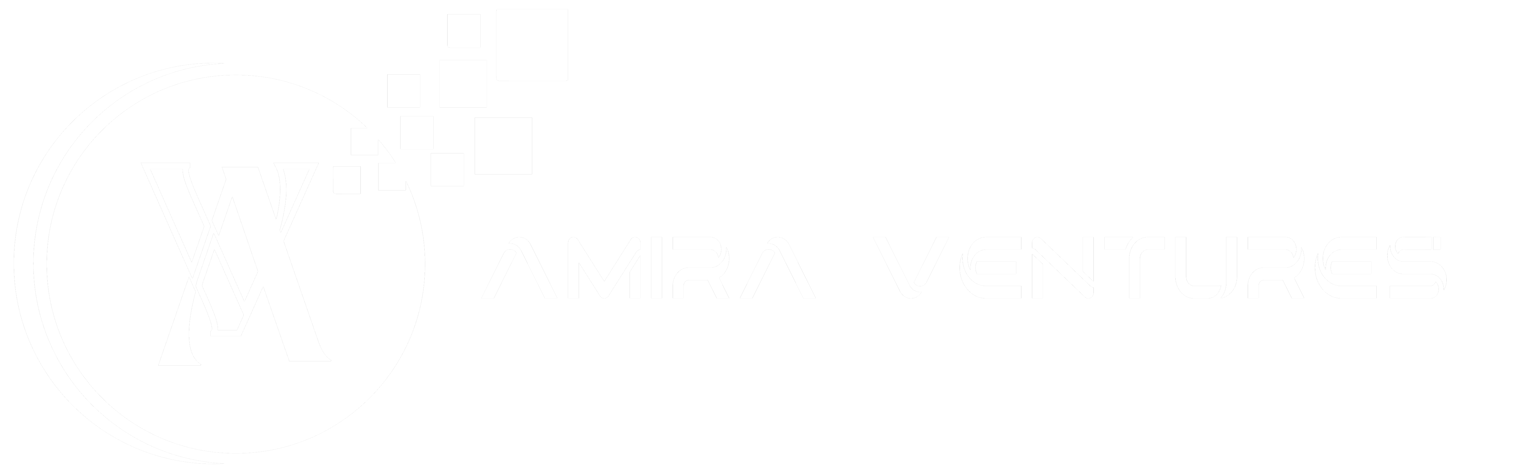 Amira Ventures logo